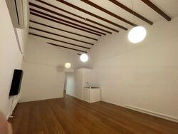 Tanjong Pagar Conservation Area (D2), Shop House #472626281